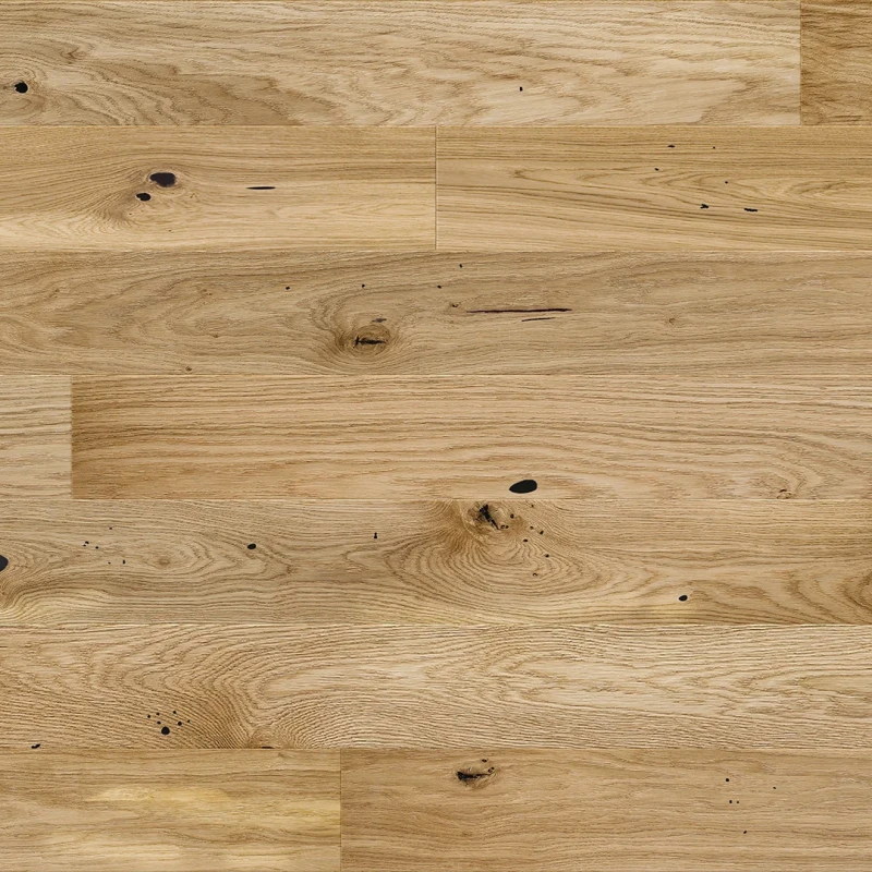 Stejar Raisins Medio photo2